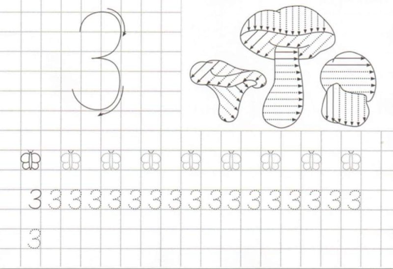 Прописи для дошкольников 6 лет цифры