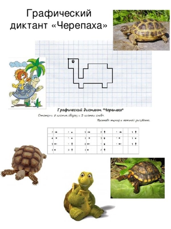 Черепаха потклетоякам