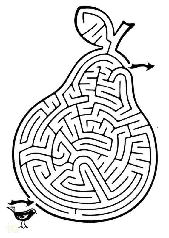 Сложные лабиринты для детей 6-7 лет