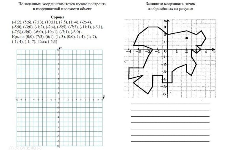 Система координат 6 класс математика