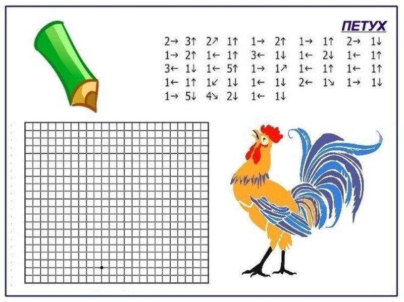 Графический диктант петух для дошкольников 6-7 лет