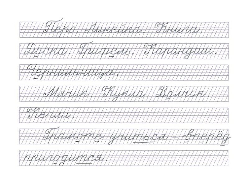 Сетка пропись РКШ