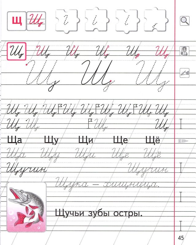 Тетрадь для первоклассника прописи