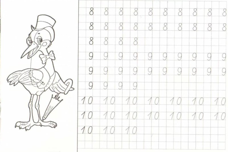 Пропись для дошкольников 7 лет цифры