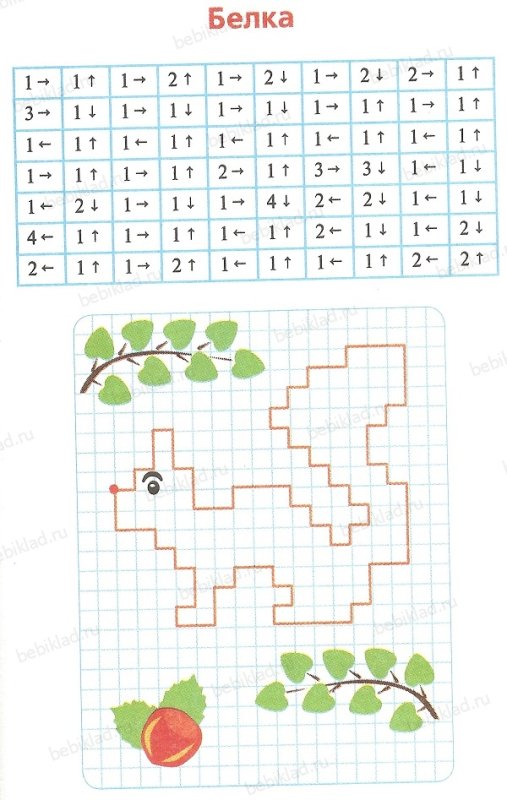 Графический диктант белка по клеточкам для дошкольников 6-7 лет