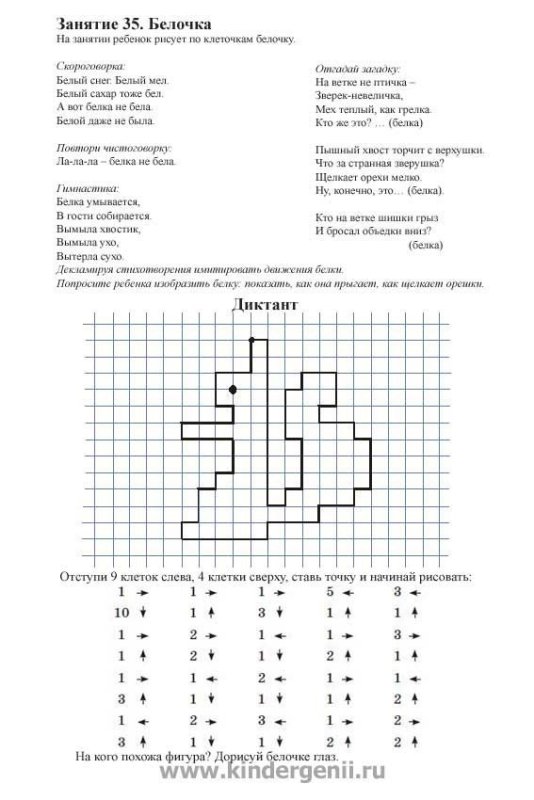 Графический диктант белка