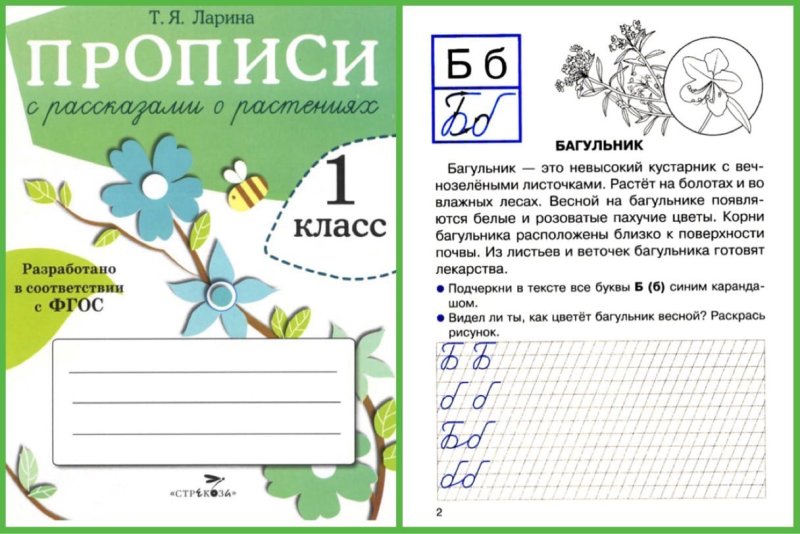 Ларина прописи