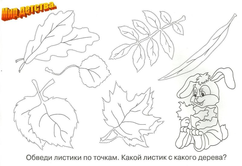 Осень задания для дошкольников