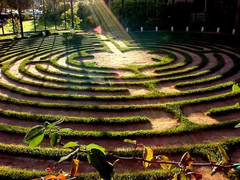 Никитский Ботанический сад Лабиринт