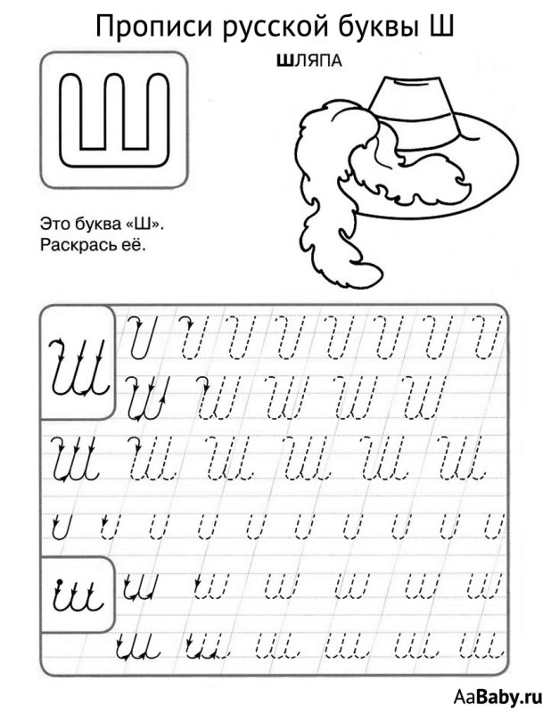 Прописи буквы ш ш для дошкольников