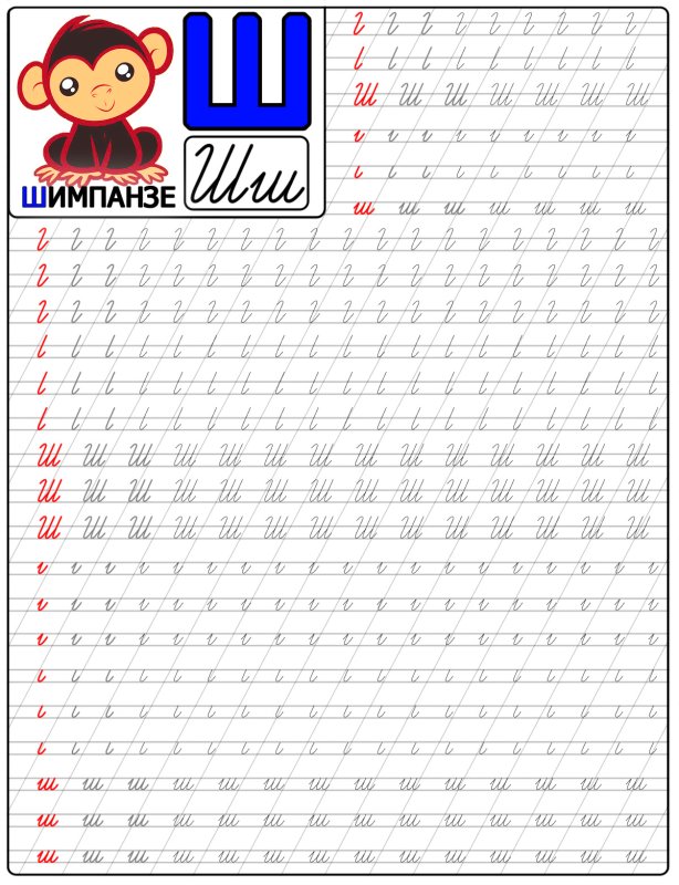 Буква ш письменная пропись