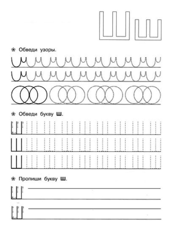 Прописи буквы ш ш для дошкольников