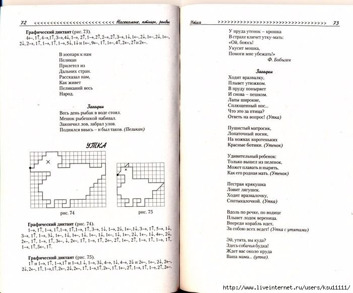 Графический диктант в зоопарк к нам Пеликан прилетел из дальних