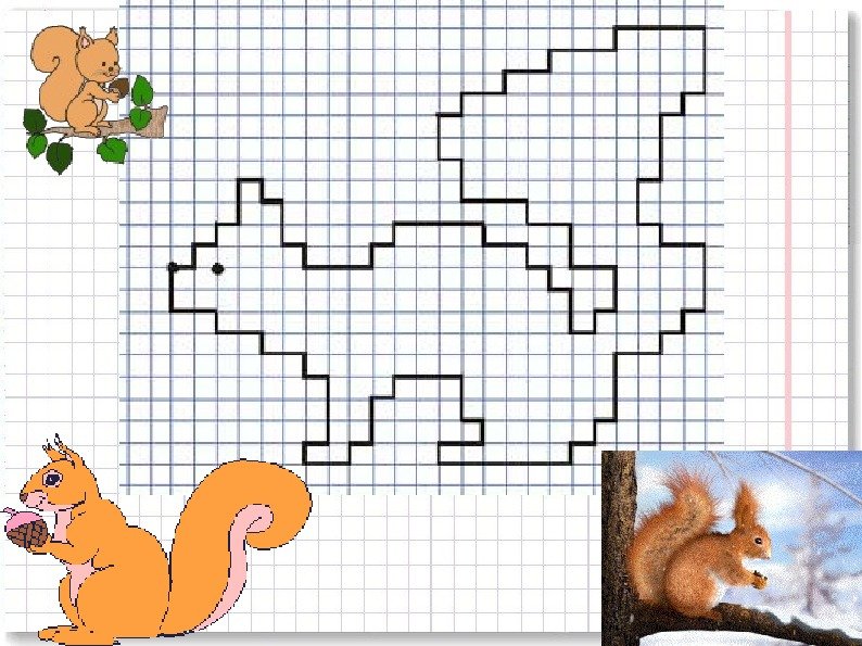 Рисунки по клеточкам животные