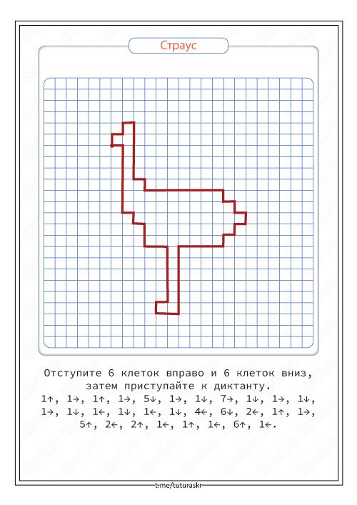 Графический диктант страус