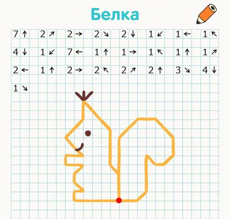 Графический диктант белка для дошкольников