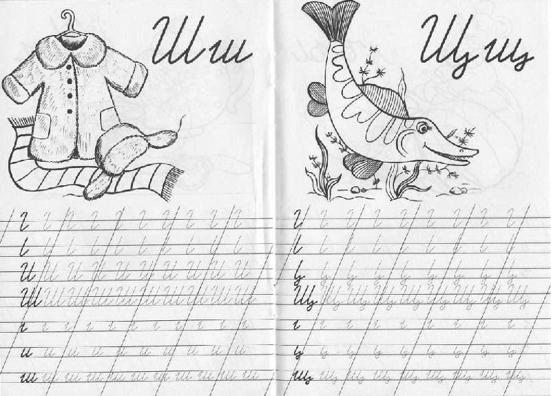 Прописи тренажер