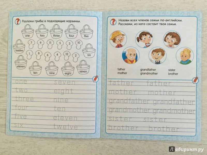 Прописи члены семьи