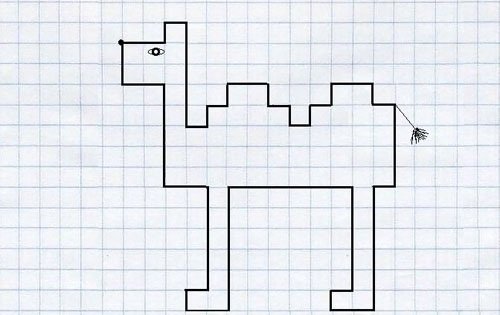 Графический диктант для дошкольников верблюд