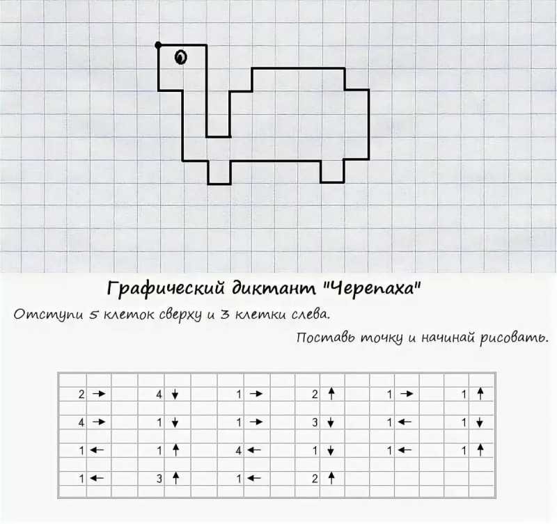 Математический диктант для дошкольников черепаха