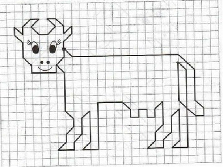 Рисование по клеточкам животных