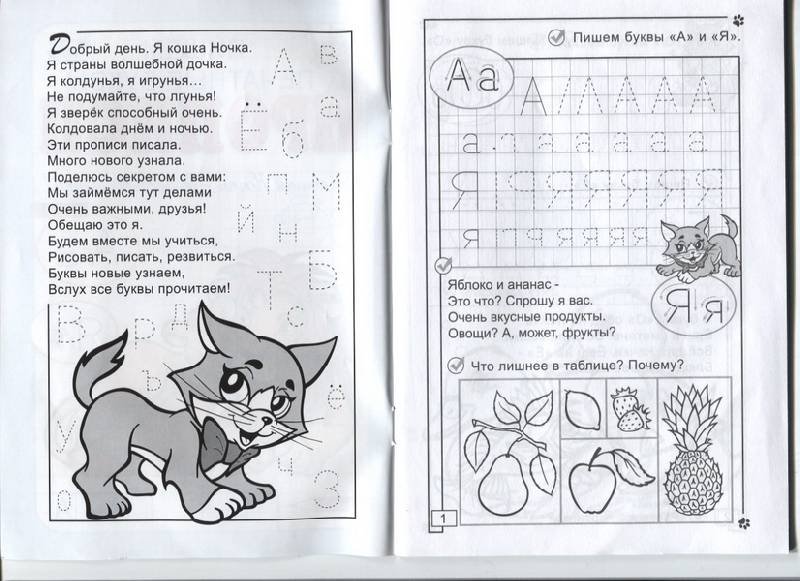 Кошка ночка прописи