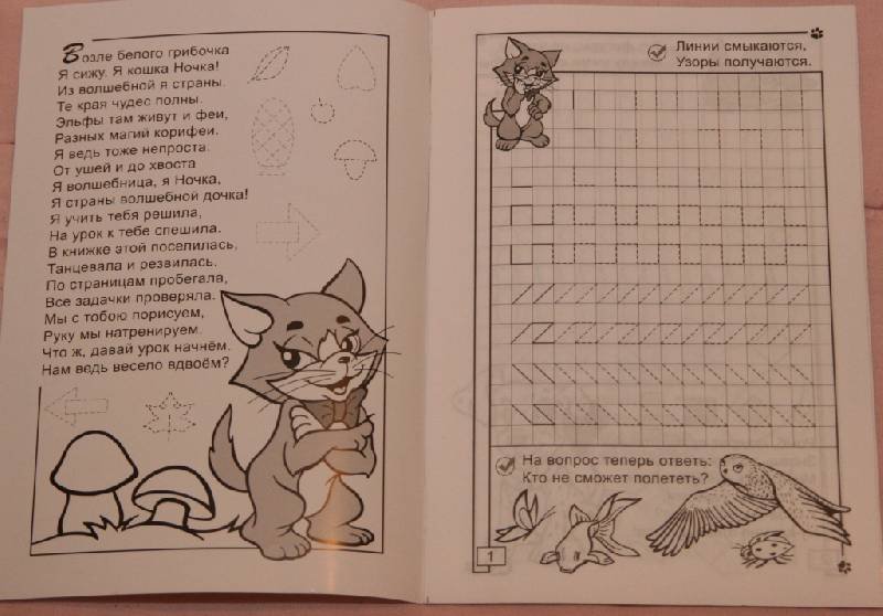 Кошка ночка прописи