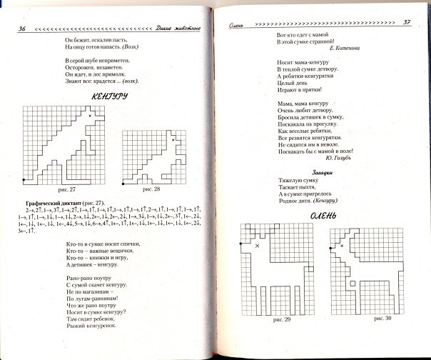Носит мама кенгуру в теплой сумке детвору графический диктант