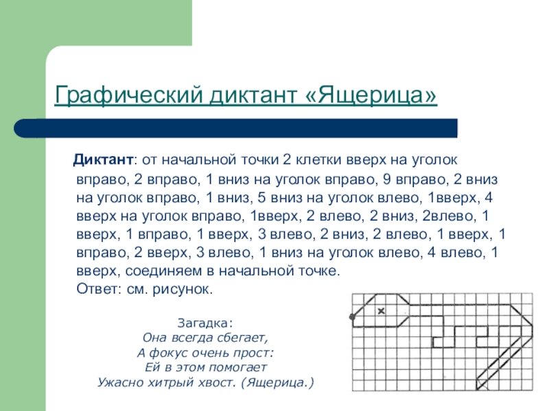 На припеке у тропинки греют ящерицы спинки графический диктант