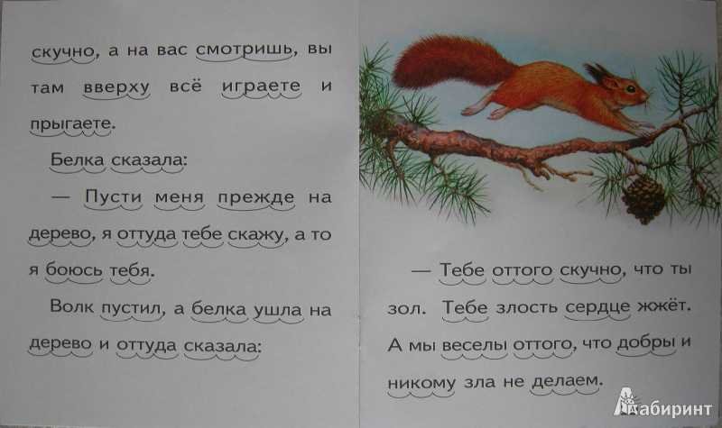 Сказка о волке и белку