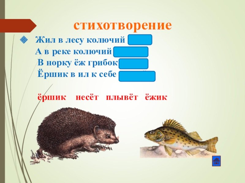 Еж Ежик Ерш ершик прописи