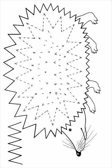 Раскраска Ёжик