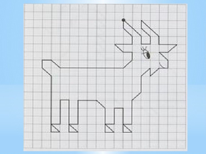 Графические диктанты
