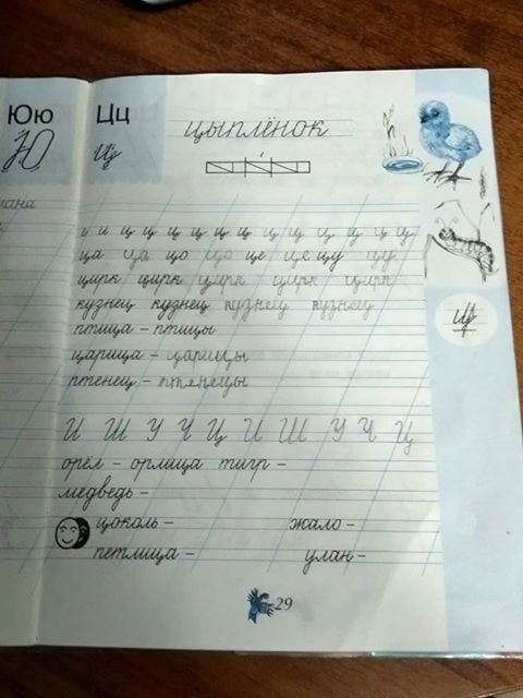 Прописи 1 класс цоколь -