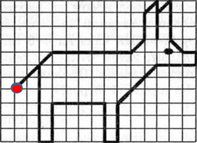 Графический диктант ослик