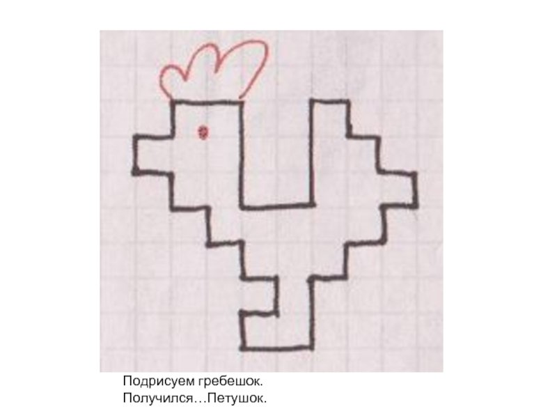 Графический диктант для дошкольников петух