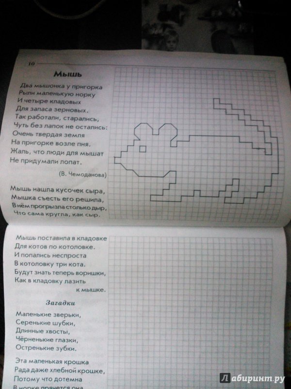 Диктант по клеткам