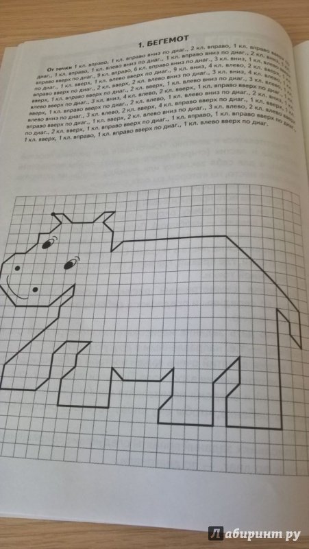 Графический диктант Дикие животные