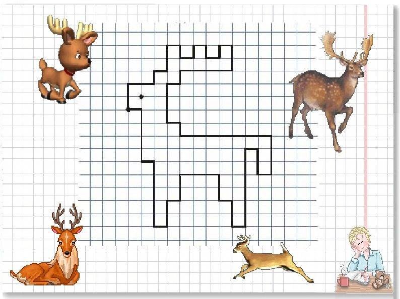 Рисование по клеточкам для детей
