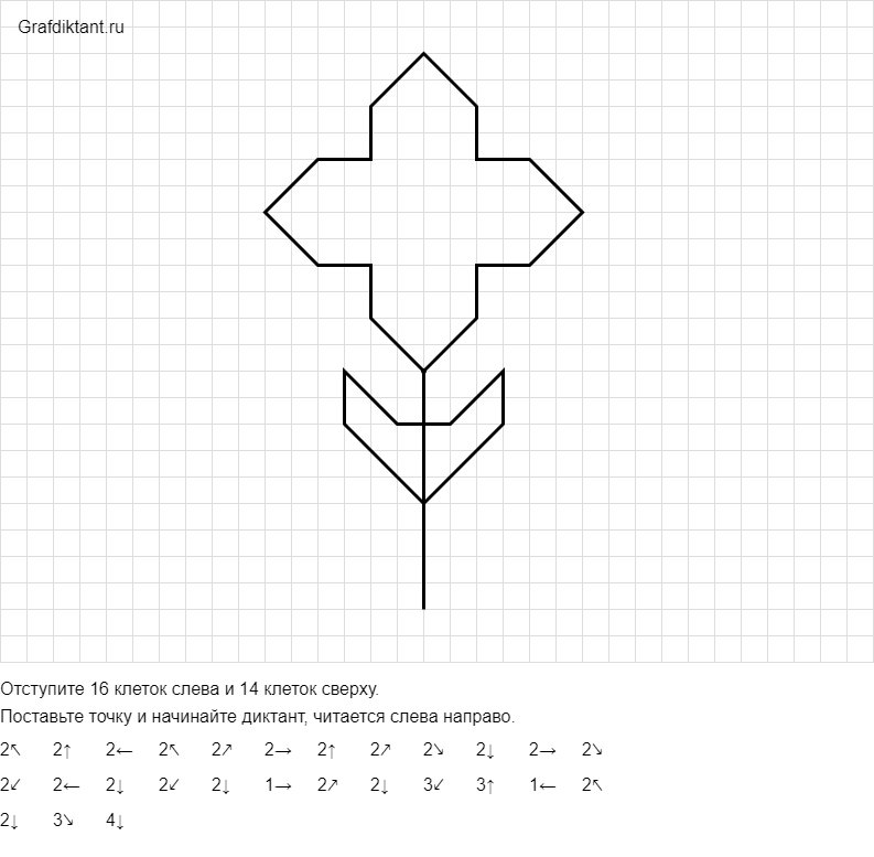 Графический диктант цветок