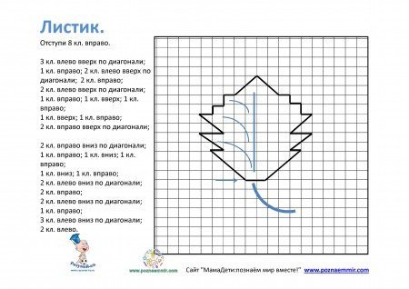 Листик в клеточку для графического диктанта