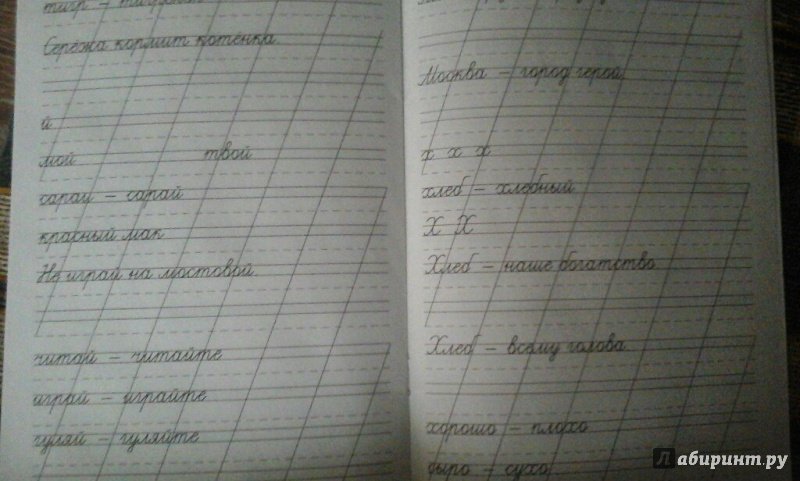 Классические прописи по русскому языку сычёва г.н