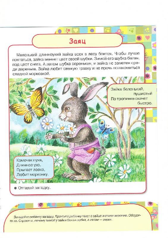Прописи 1 класс под елкой сидит Зайка он