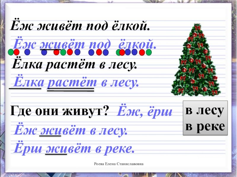 Еж живет под елкой