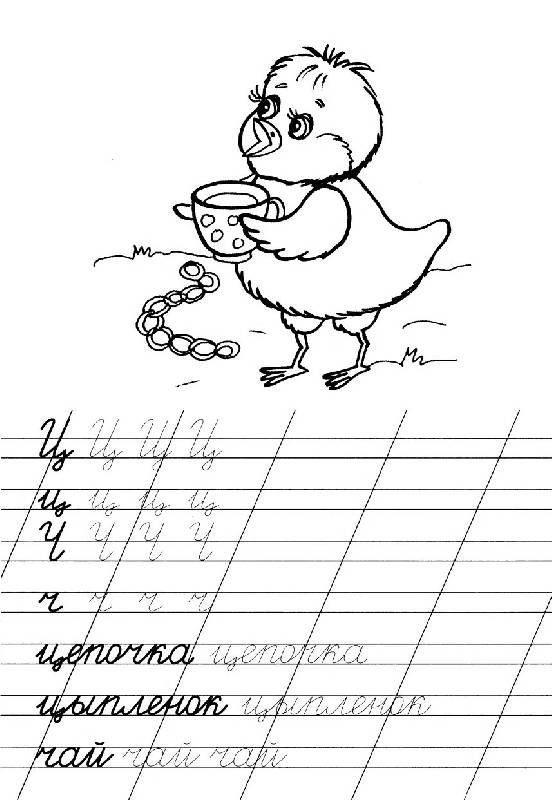 Буква ц прописная 1 класс
