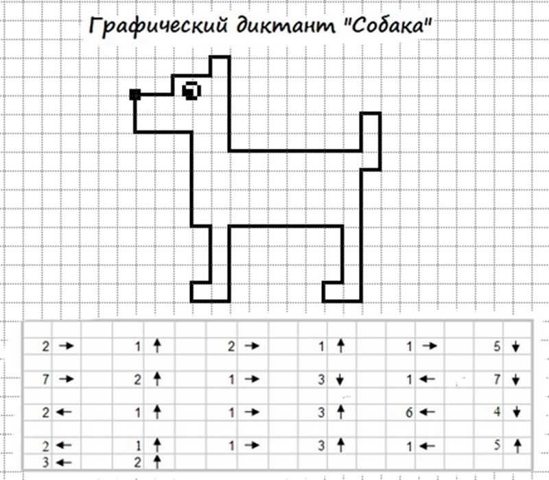 Математический диктант собачка для дошкольников по клеточкам