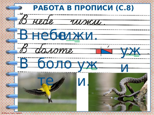 В небе чижи в болоте ужи прописи