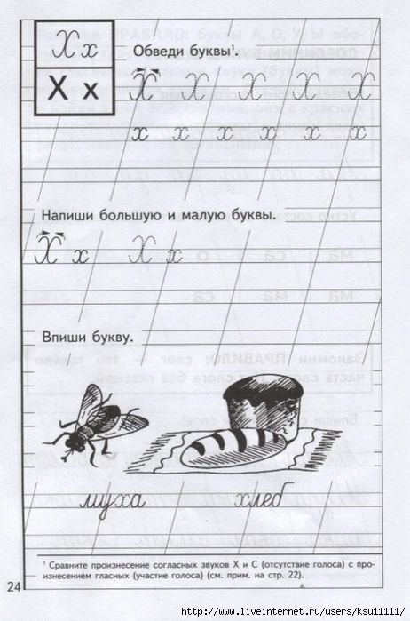 Буква х пропись