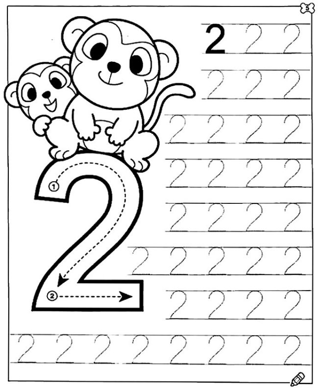 Цифра 2 прописи для дошкольников