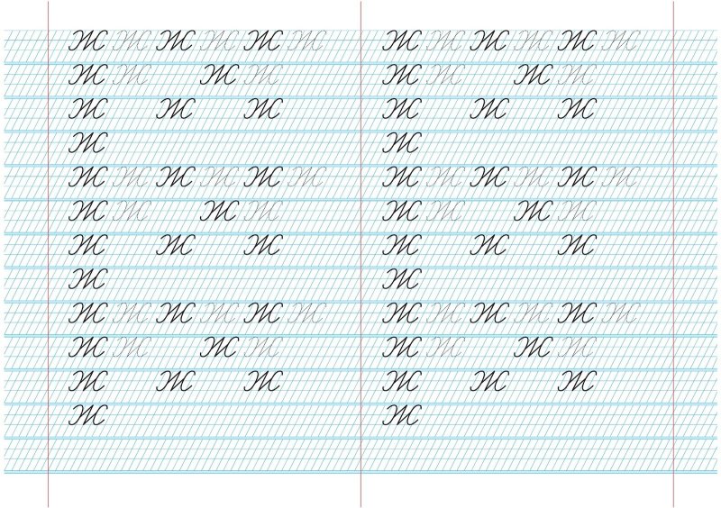 Буква ж пропись